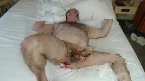 bullmusclejoe stream preview
