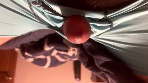 byrdbean live stream