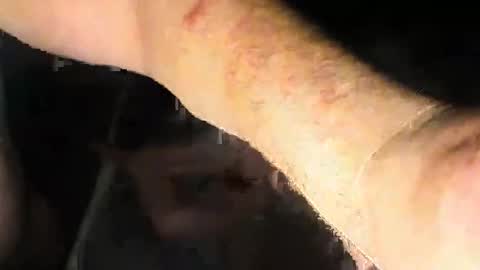 caljerkerr stream preview