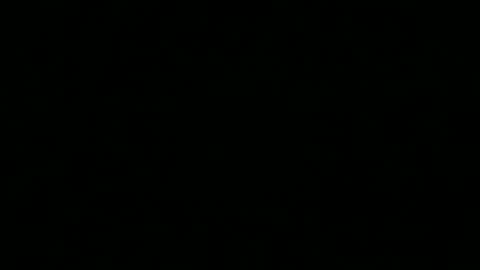 calvinzz live stream