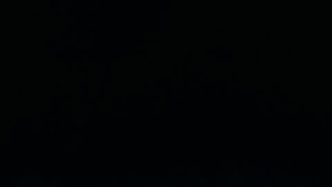 camilio96 stream preview