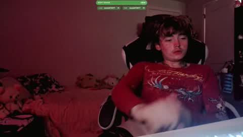 camtoycowboy stream preview