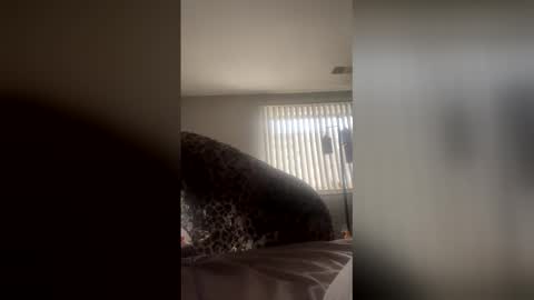 candylips2kiss stream preview