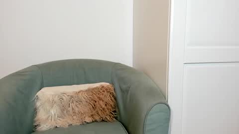 cassieandmarco stream preview