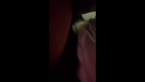 cat82711 stream preview