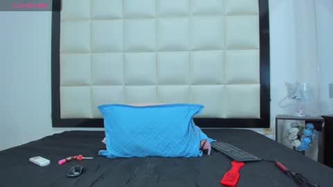 cattalina_25 live stream