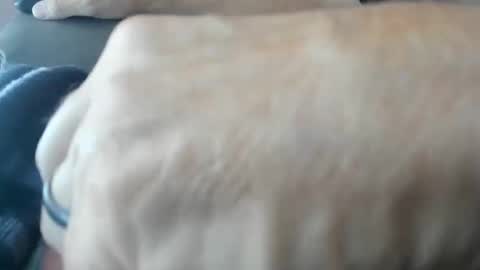 chazz1985 live stream