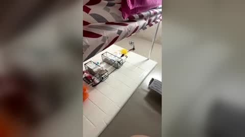 chito305 live stream