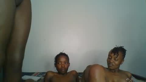 chocobear22 stream preview