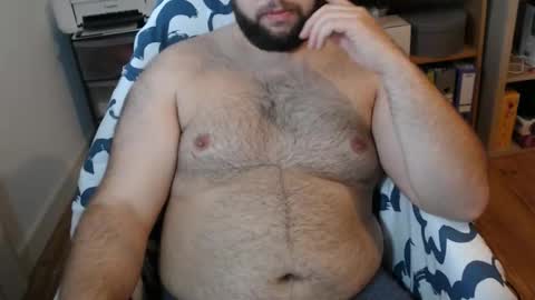 chubbear_fr live stream