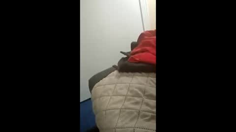 citystylescockin stream preview