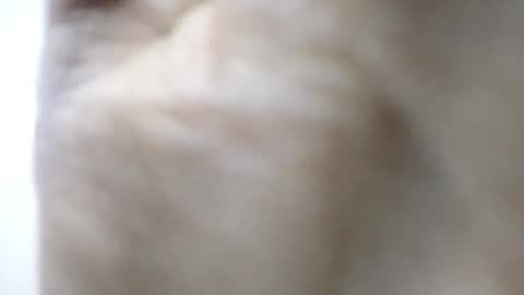 claricezappala stream preview