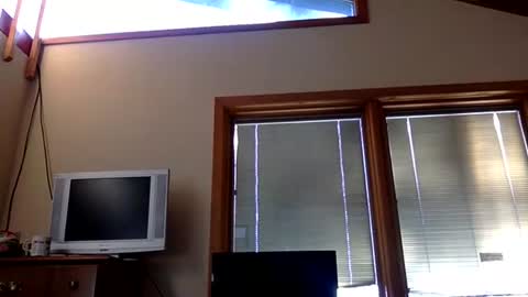 codebynova live stream