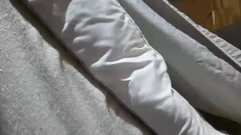 countrymommy live stream