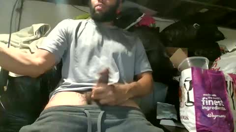 crystalxdic229 stream preview