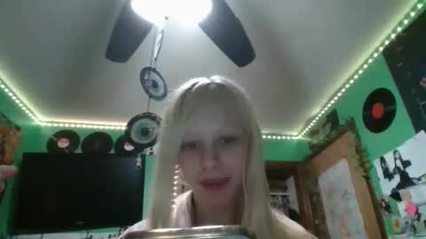 cutestcatforever live stream