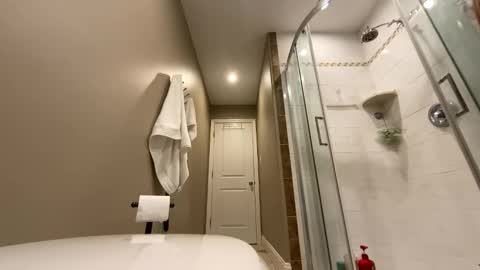 d1pandr1p live stream