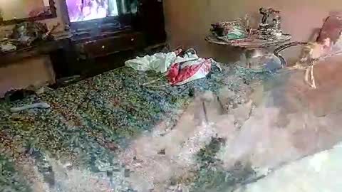 daddyshome4115 live stream