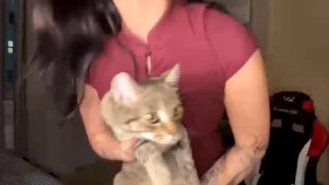 dagnytrachte live stream