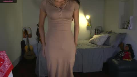 daniisla stream preview