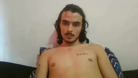 danni4_20 stream preview