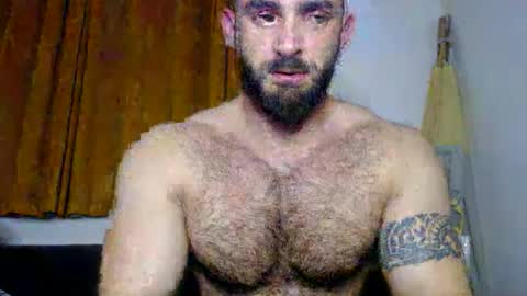 dariomuscle stream preview