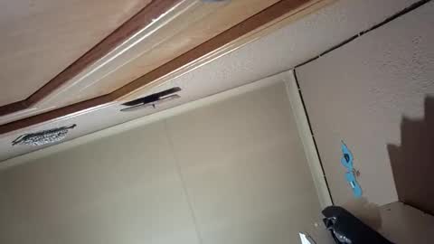 daywalkerq live stream