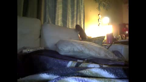 debraglen live stream