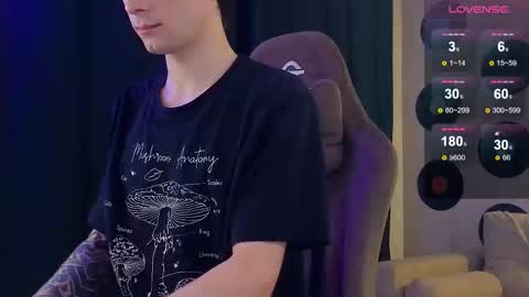 debugmee stream preview