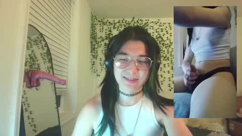 deciduousdoll stream preview
