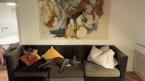 deedubeff stream preview