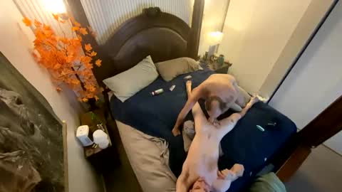 dgcasper stream preview