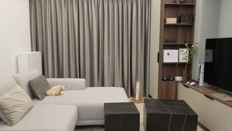 diamondpixie stream preview