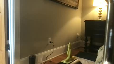 divinehips live stream