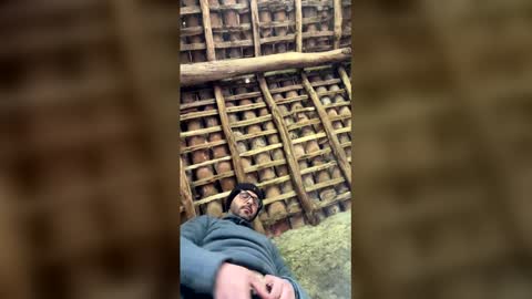 dmfantasy69 stream preview