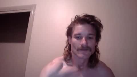 dngl264699 stream preview