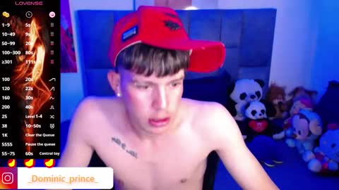 dominicprince stream preview