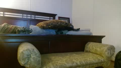 drdown960281232 live stream