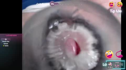 dutchspidey live stream