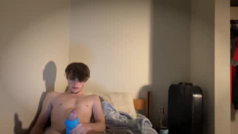 dylanpicklepie live stream