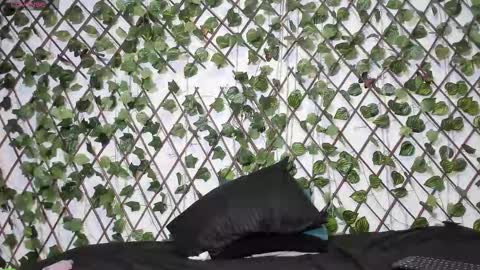 eimyfoxxx stream preview