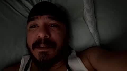 elgatonegrodelah live stream