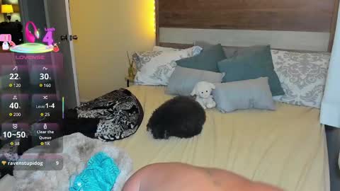 elibambie live stream