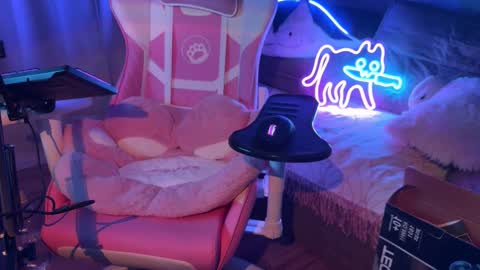 elisa_north live stream