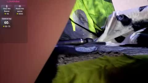 evie_meow stream preview