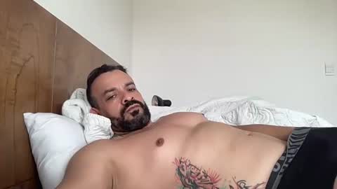 falkor_xl stream preview