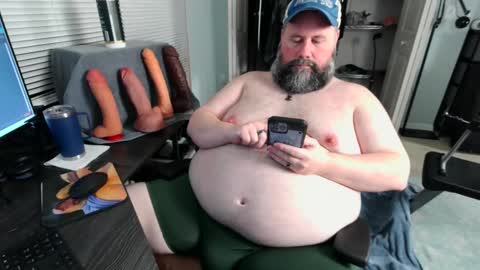 floridabearlive stream preview