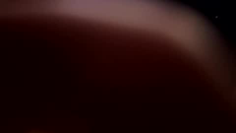 floridamexican stream preview