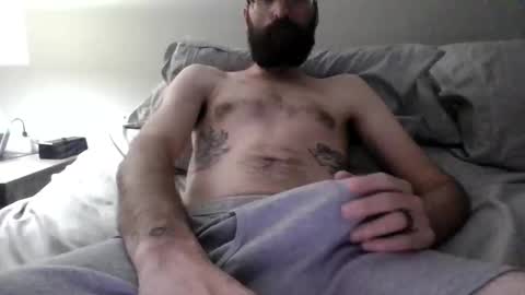 freebeard8 stream preview