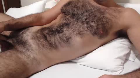 gallobhz stream preview